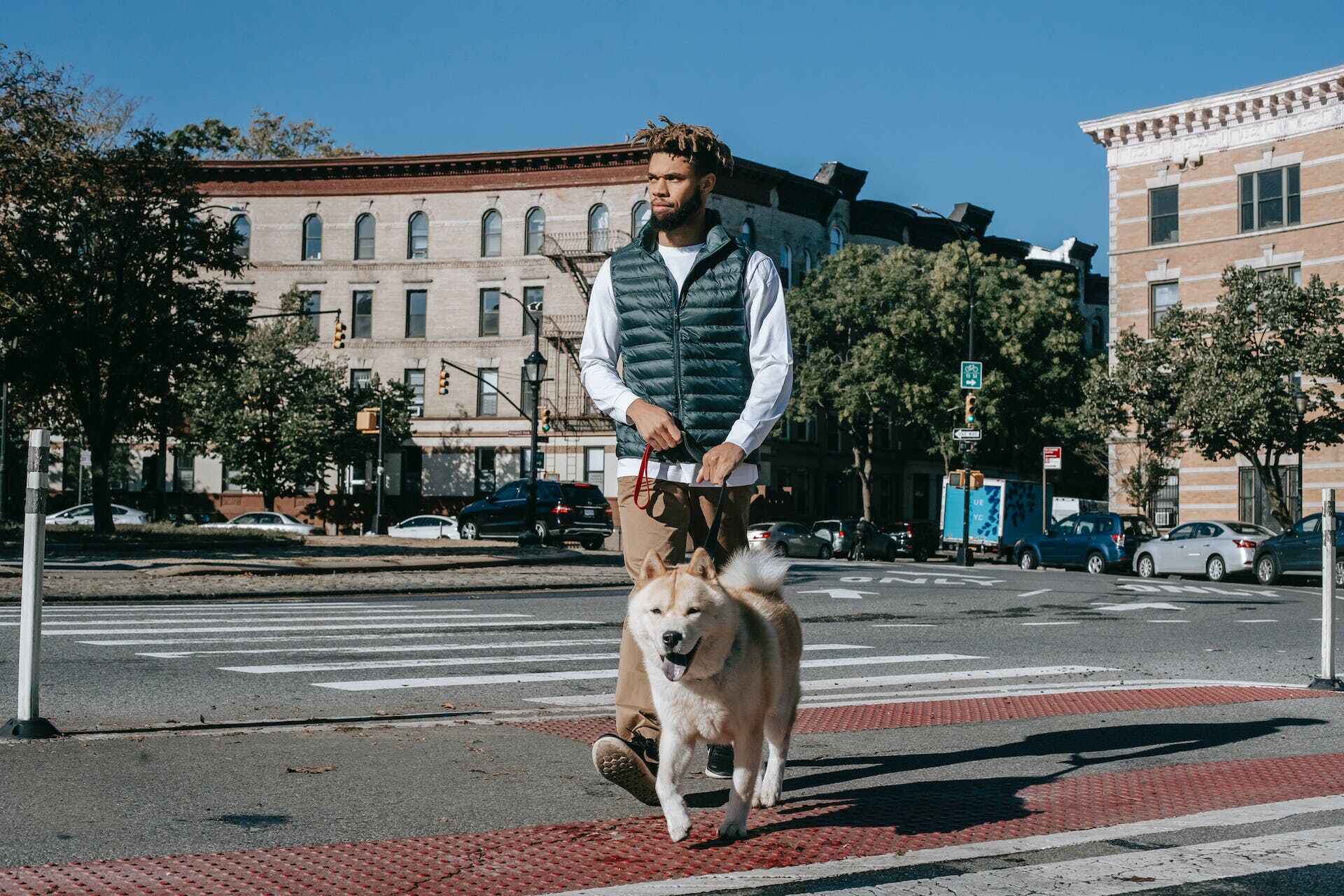 En man som går över gatan med sin hund