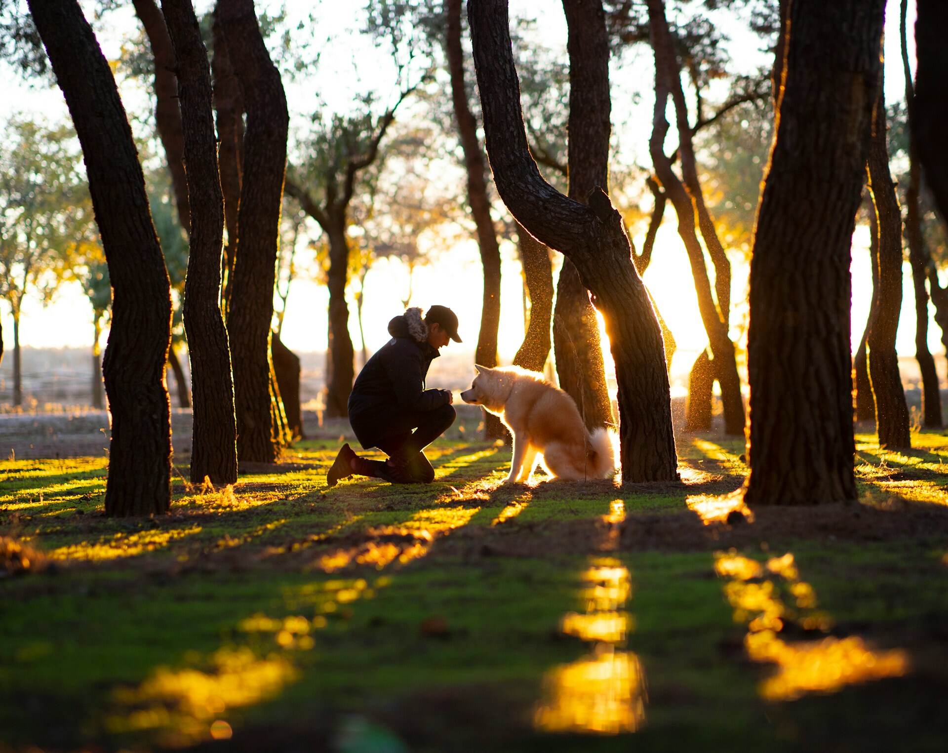 A man walking a dog in a wooded path