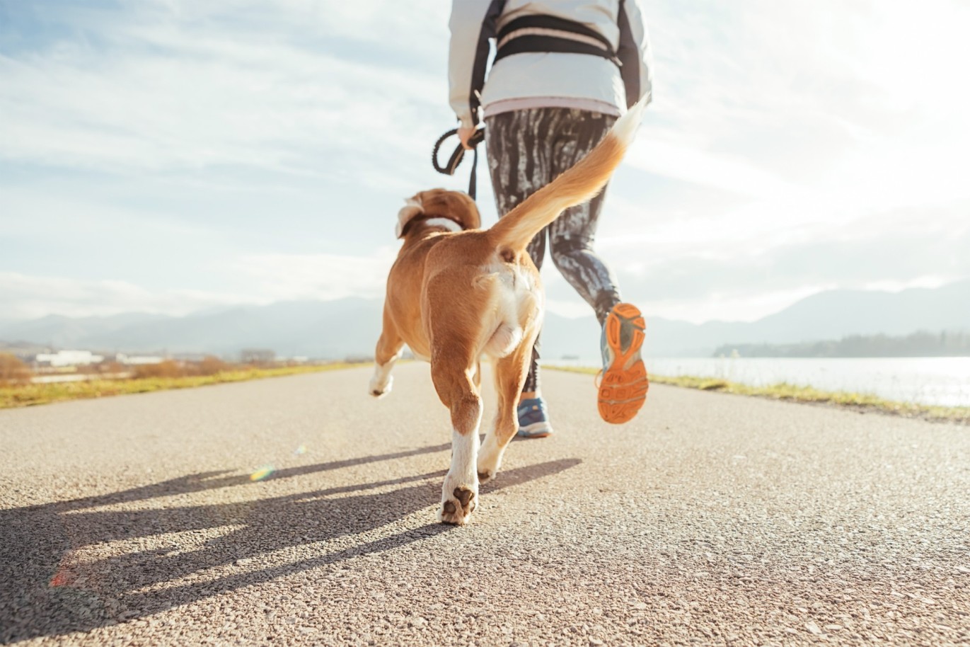 A woman running with a dog on leash