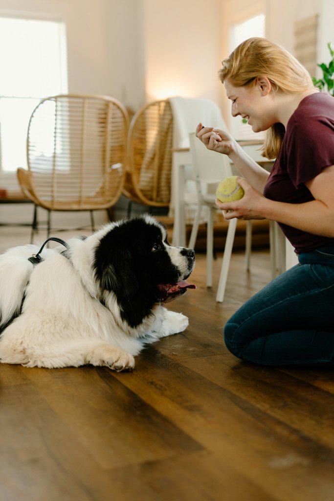 Une femme qui entraîne son chien en intérieur