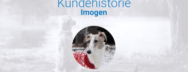 kundehistorie til blogindlæg om hunden imogen, som blev reddet op af en frosset sø