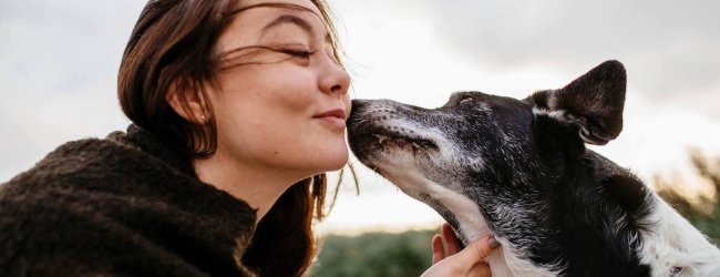 Hund küsst Frauchen