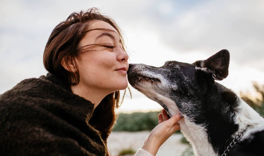 Hund küsst Frauchen