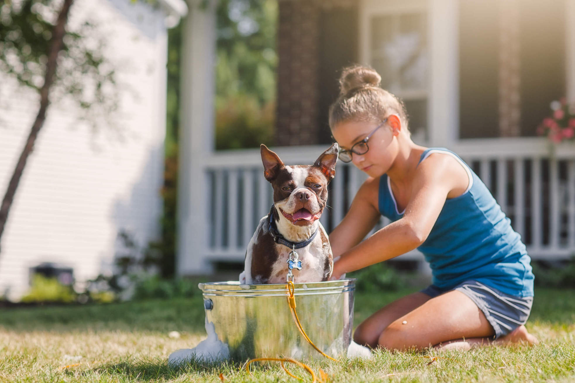 Braun-weißer Hund wird von Mädchen im Kübel, der im Garten steht, gewaschen