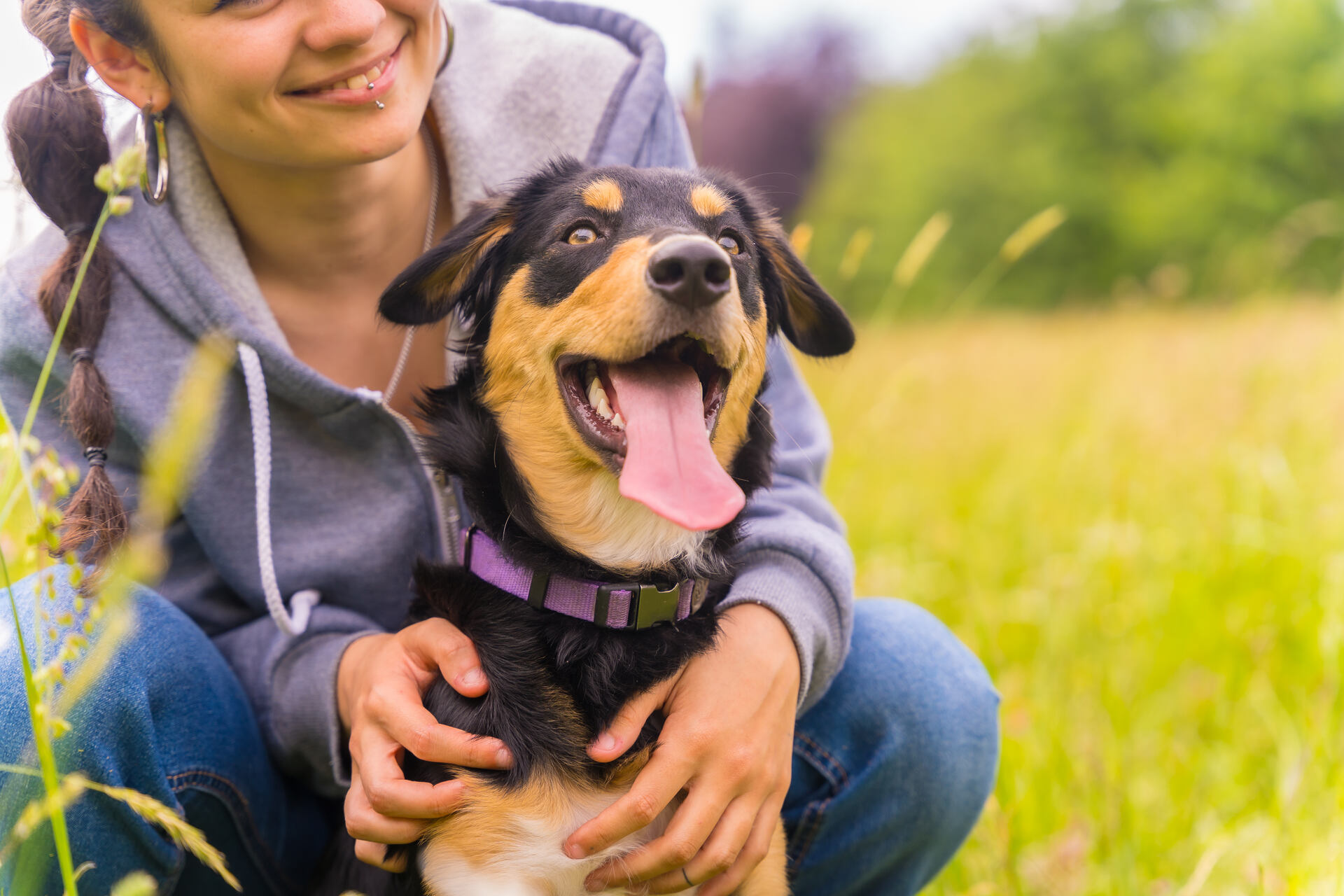 A woman holding a panting dog outdoors