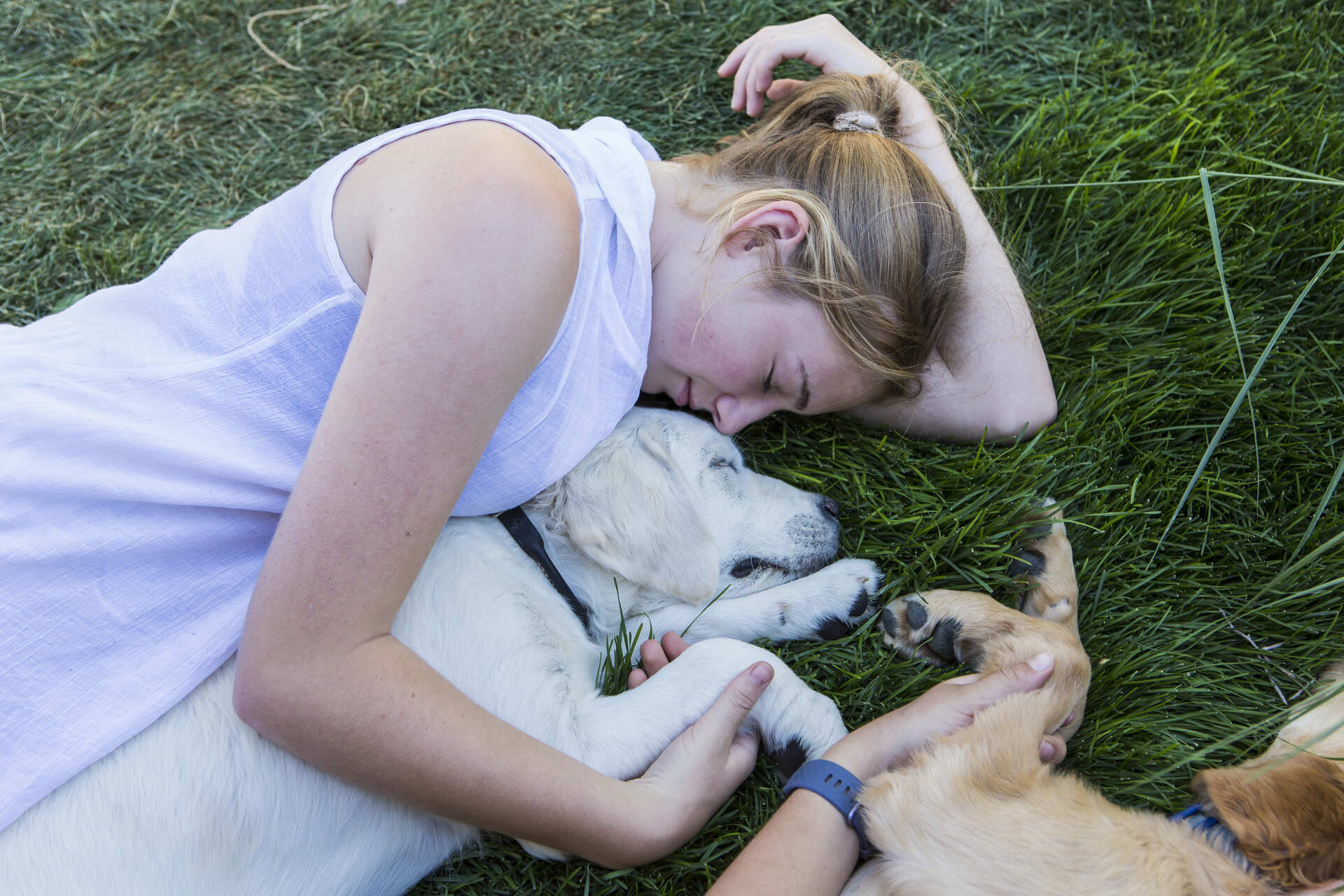 A woman lying on a lawn with her dogs