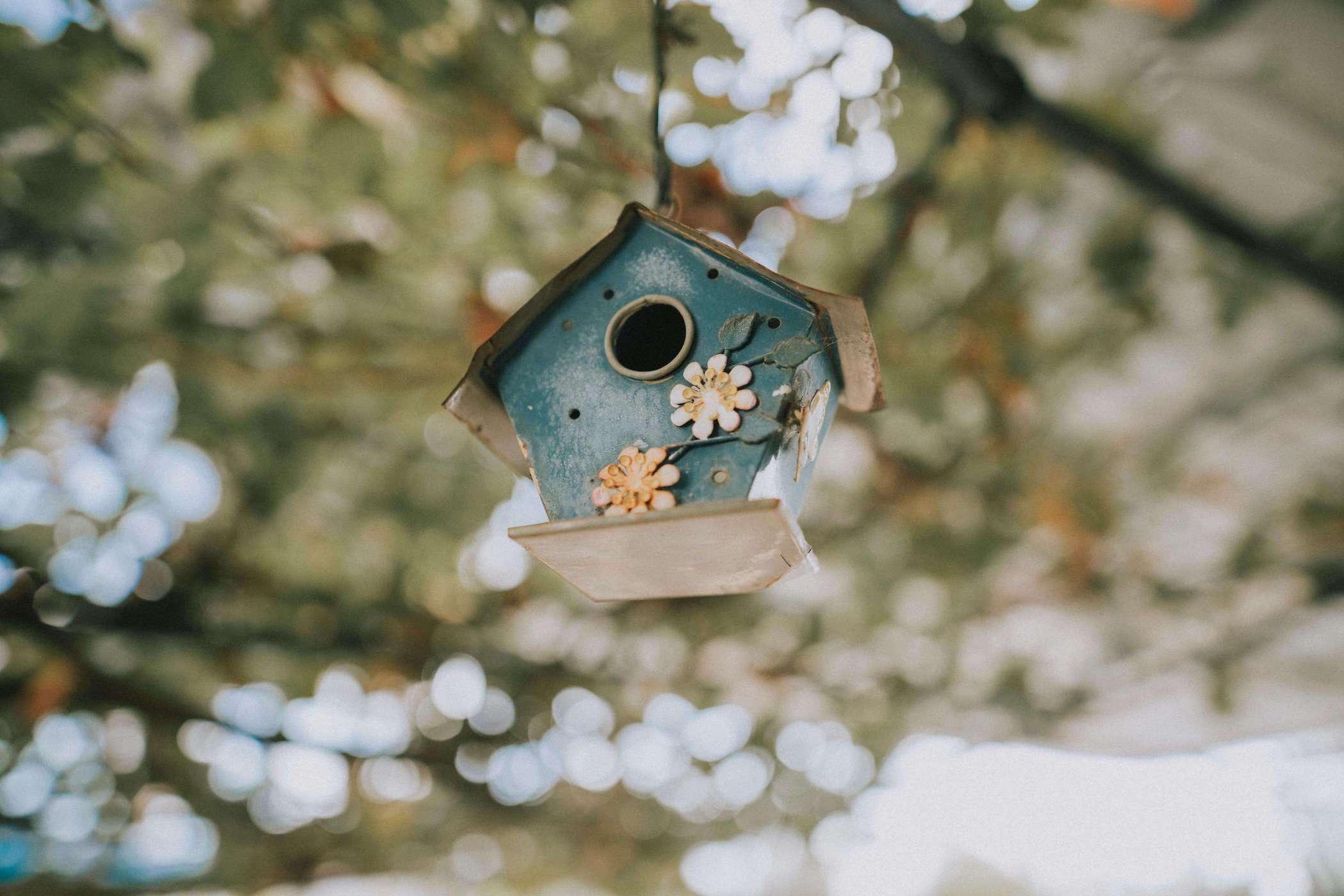 Kleines, blaues Vogelhäuschen hängt an einem Baum