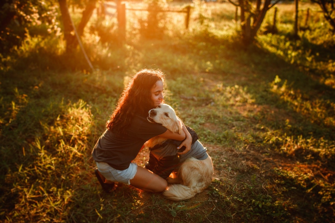 Frau umarmt Golden Retriever draußen in der Wiese