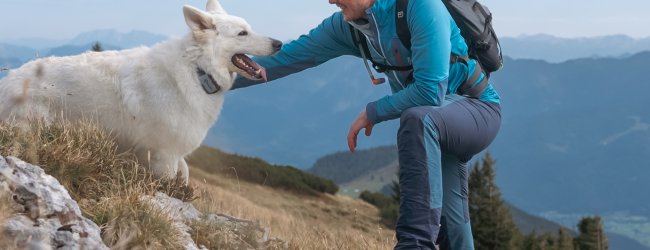 A man hiking with a white dog