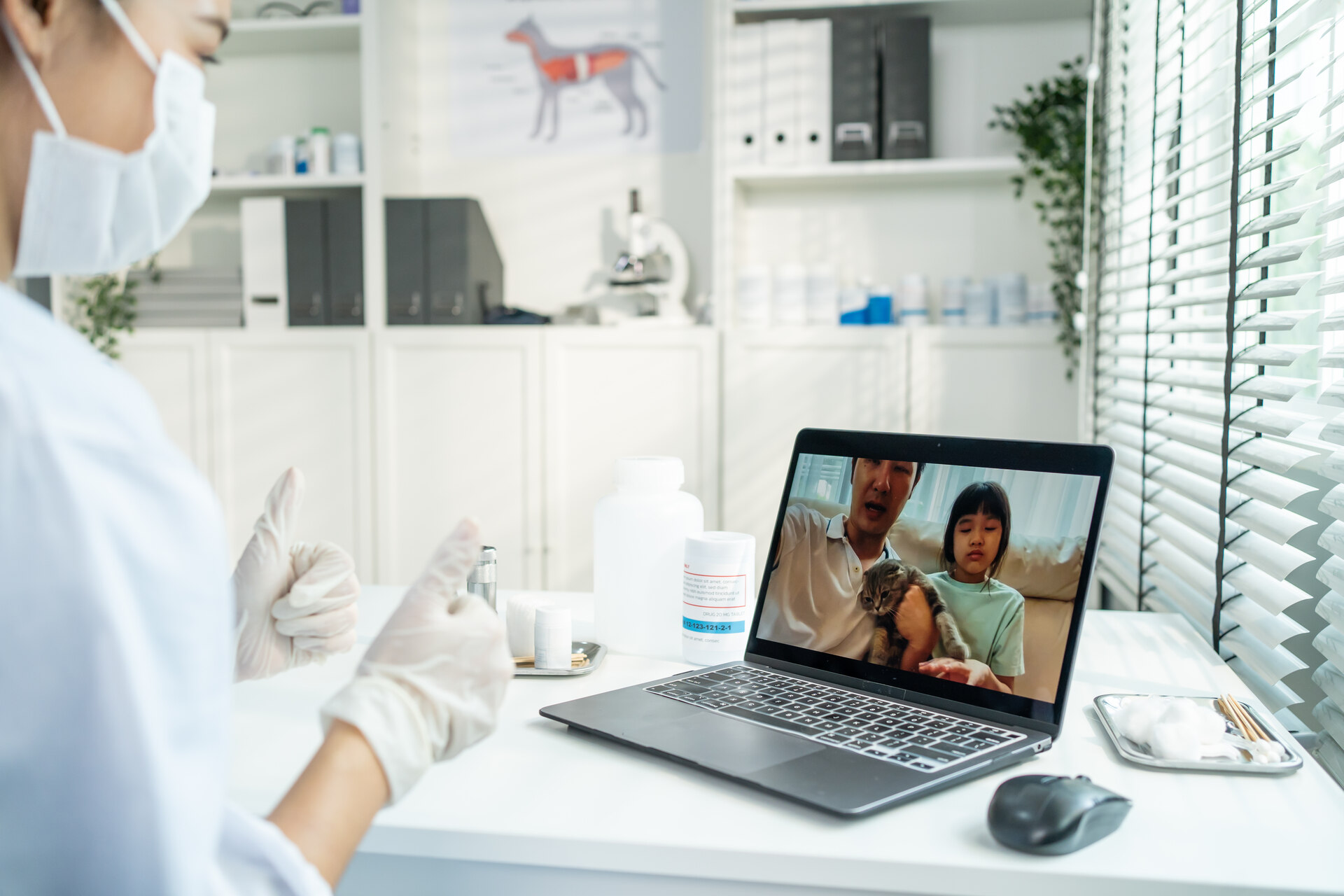 A vet examining a cat over a video call with a family