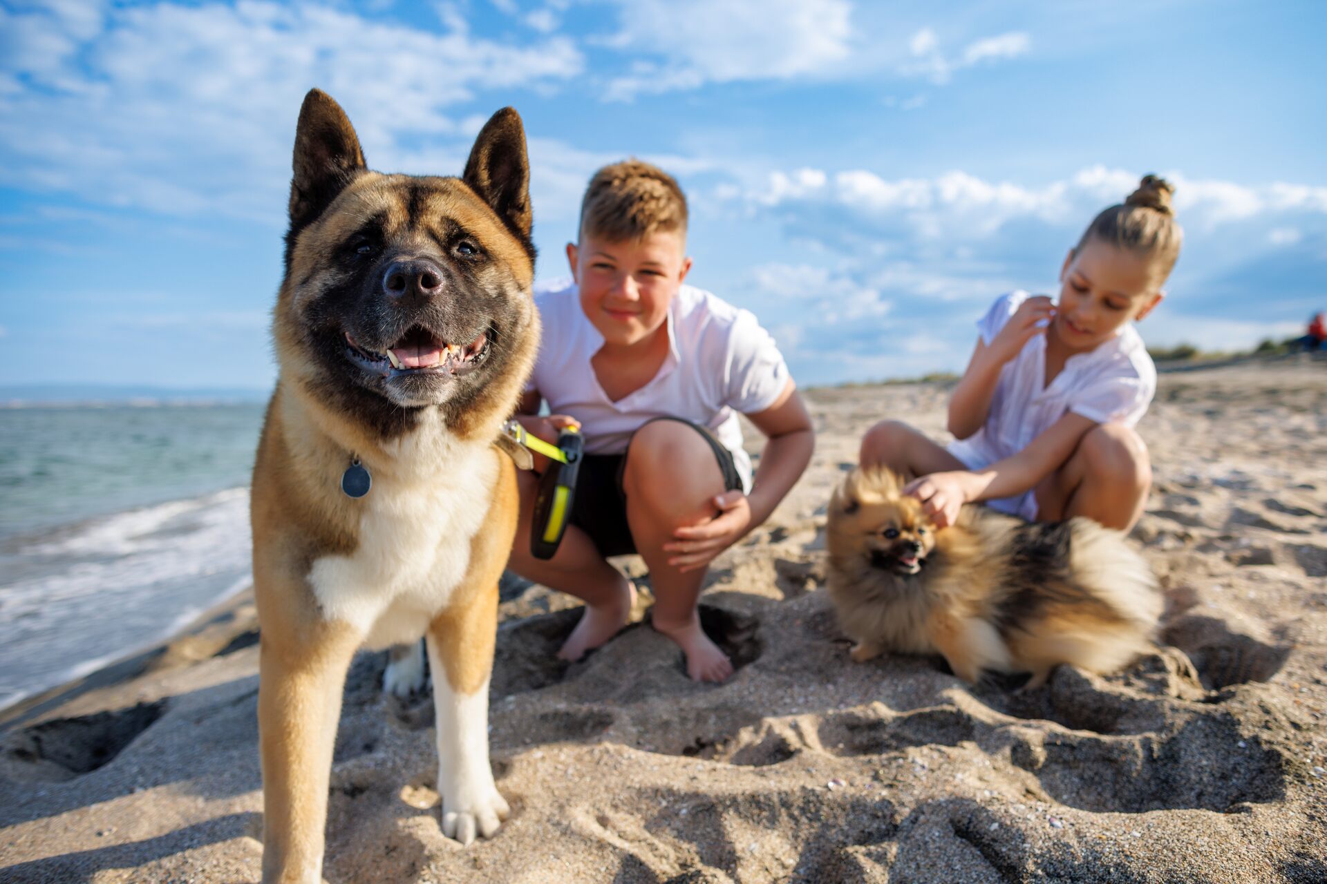 A pair of children playing with dogs on the beach