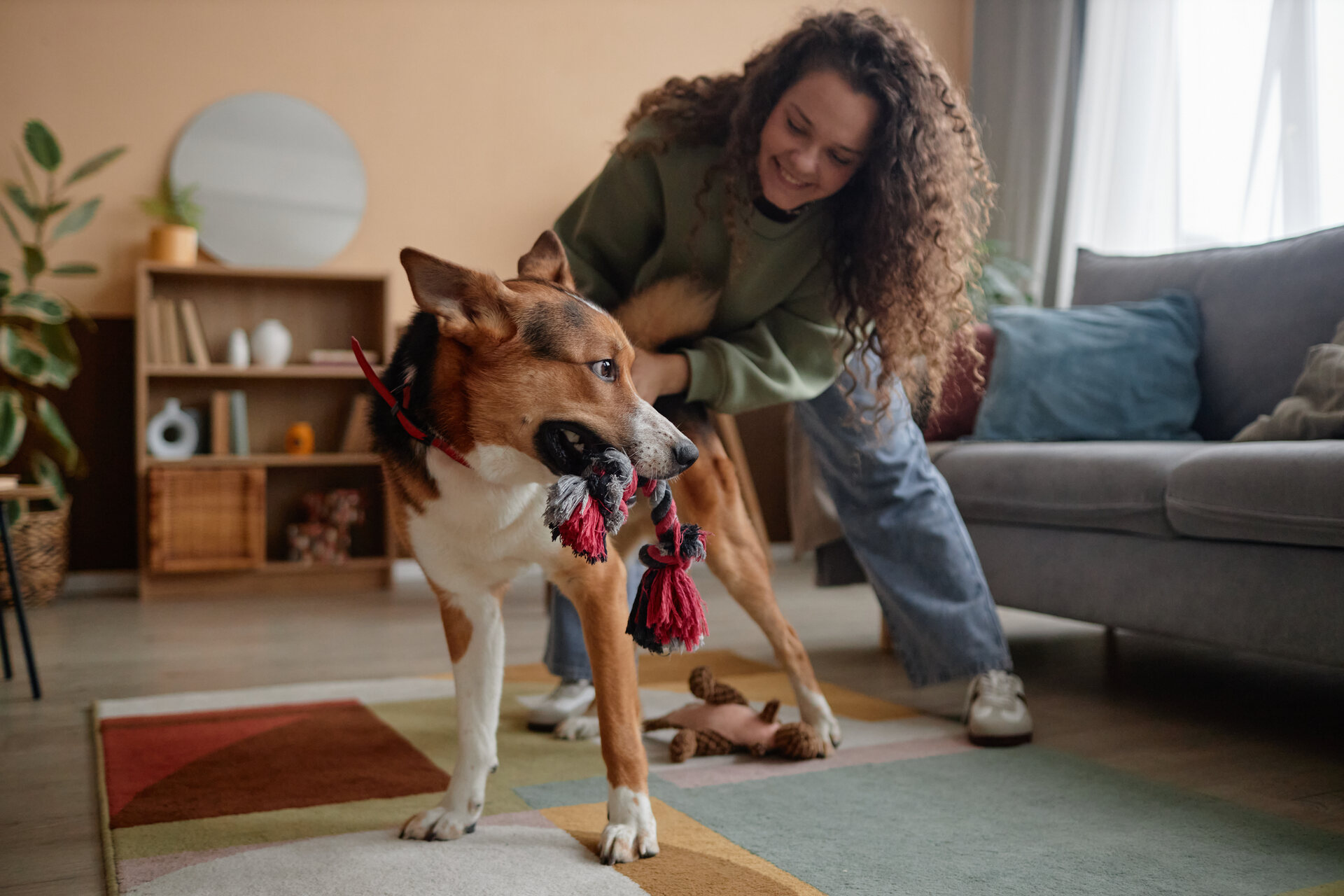 A girl playing with a dog indoors