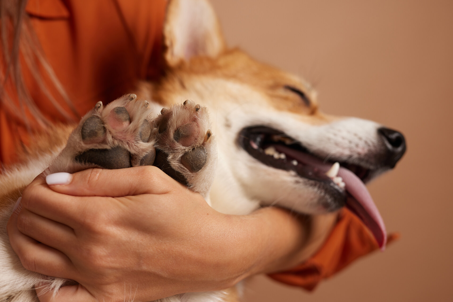 A woman cuddling a dog in her arms