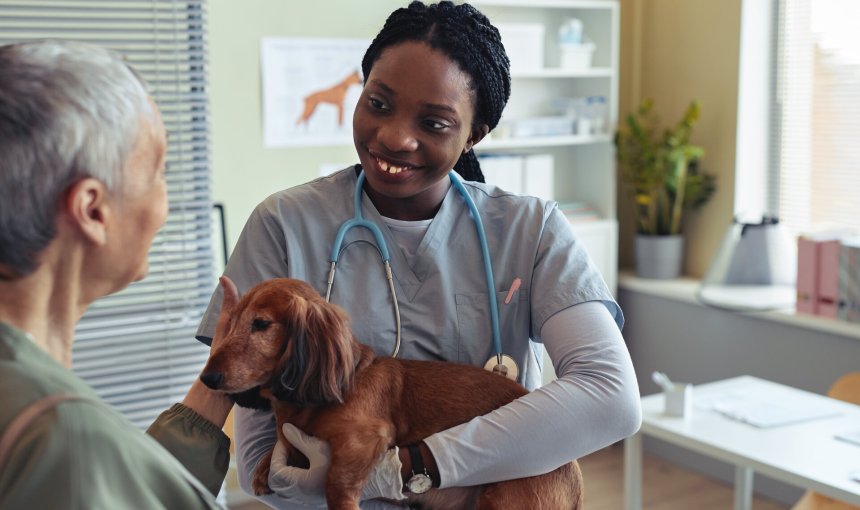 A woman consulting with her vet