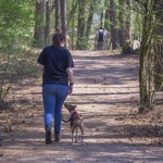 Lisa and Charlie on a walk through the forest