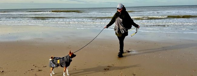 Lisa and Charlie walking on a beach