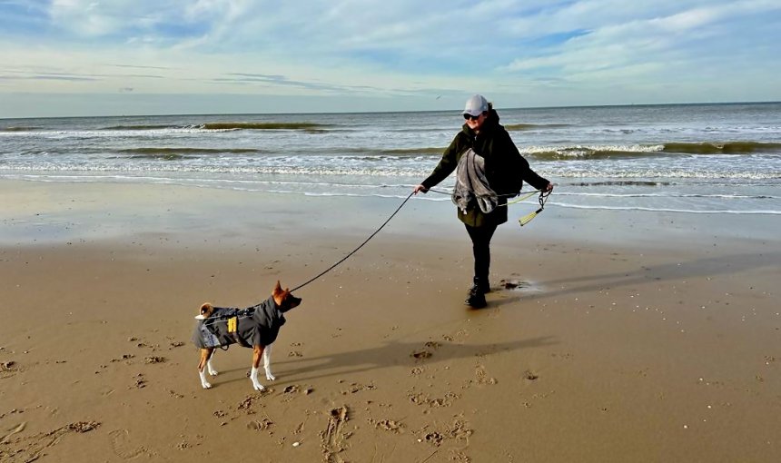 Lisa and Charlie walking on a beach