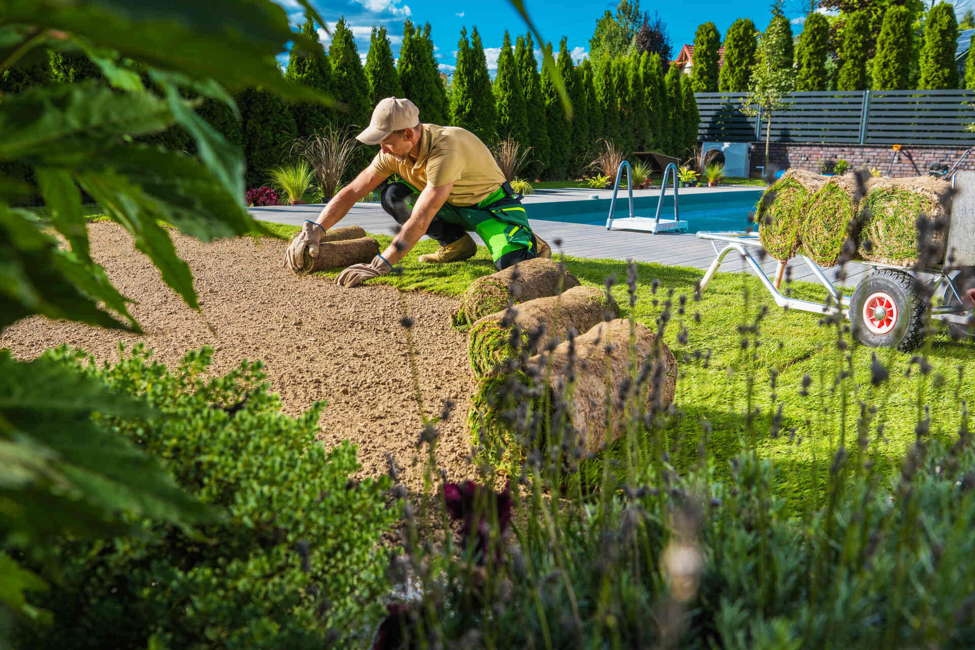 A man restoring the ground cover of a lawn