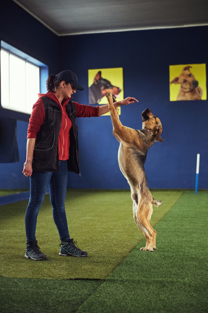 A woman training a dog indoors