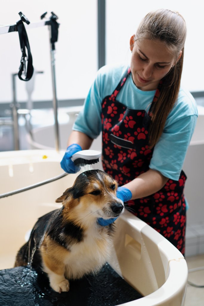 A woman washing a dog in a bathtub