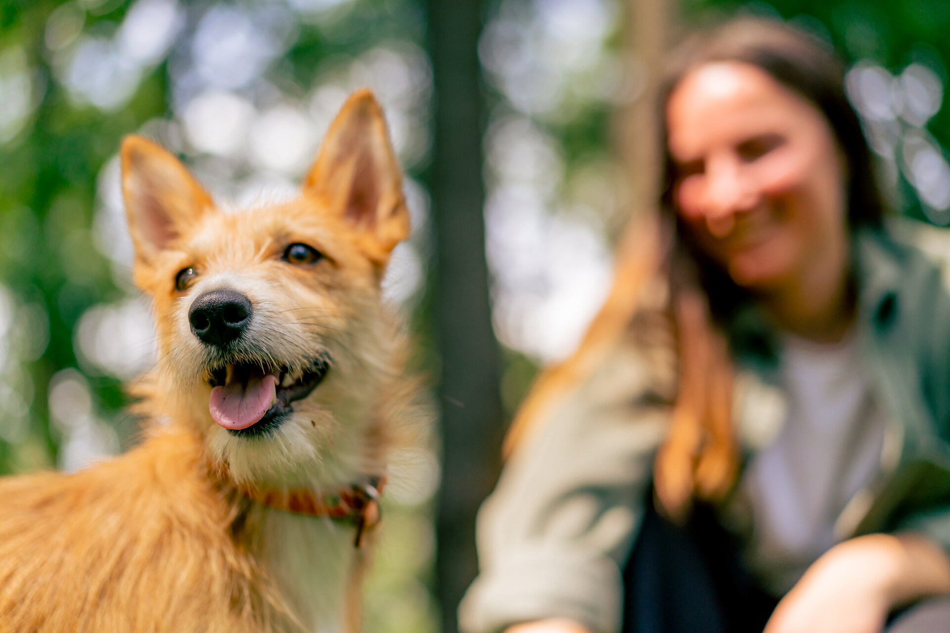 A woman visiting a dog at a shelter