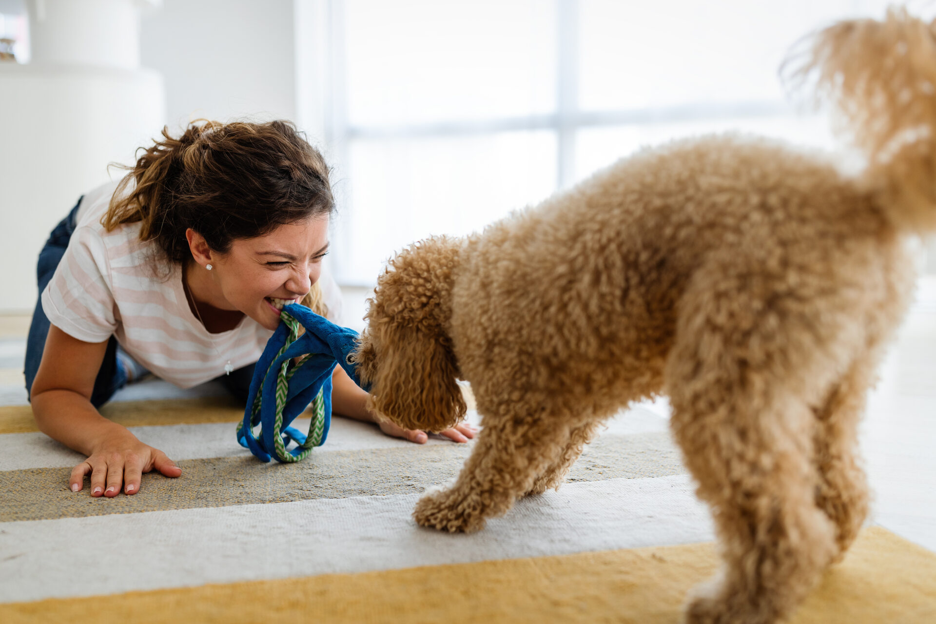 A woman playing tug of war with her dog