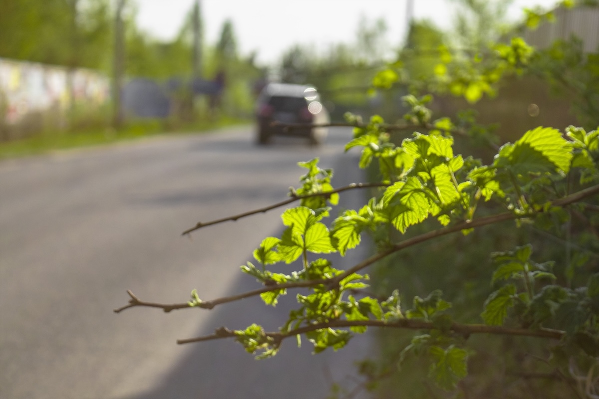 Auto fährt weg