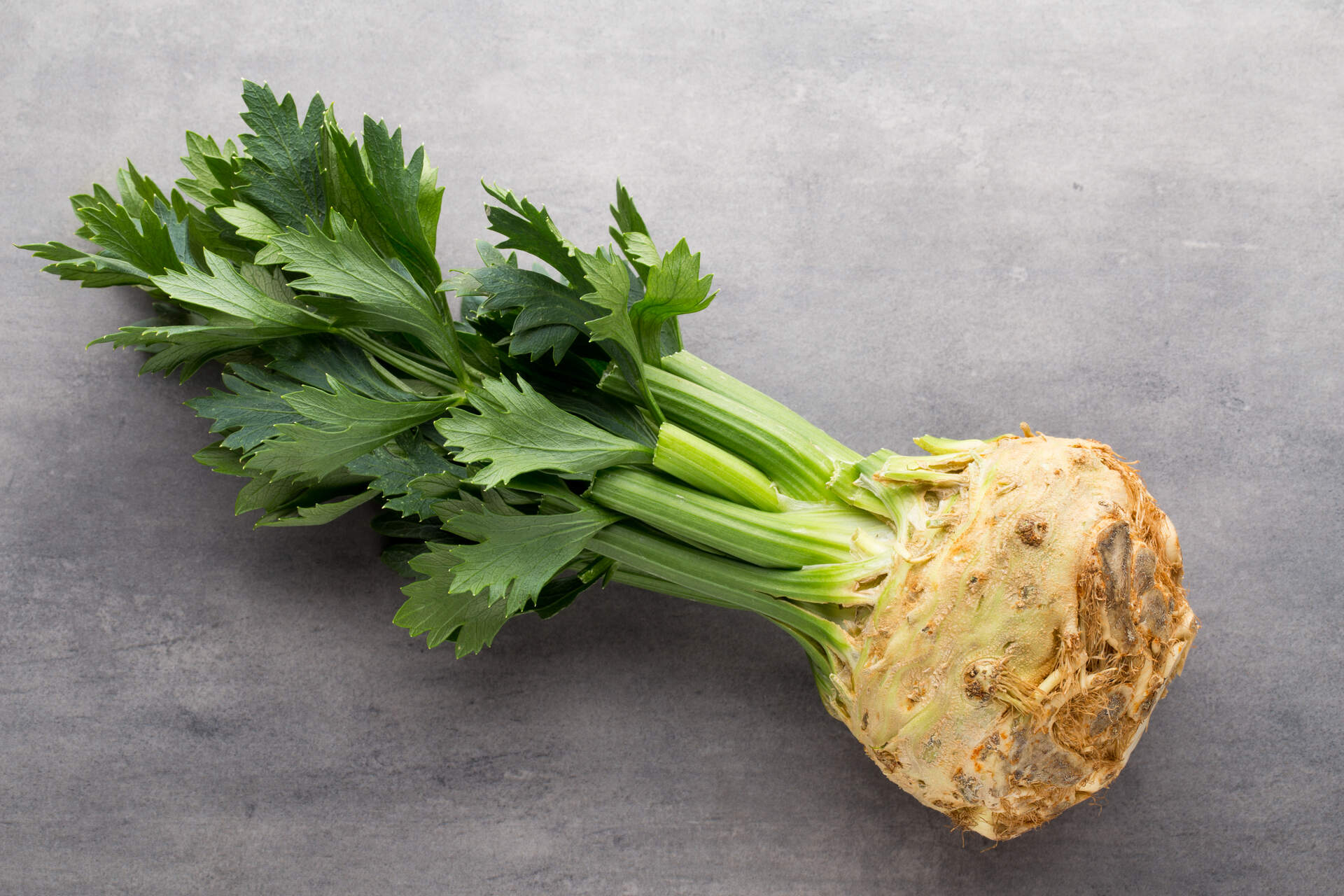 A piece of raw celery lying on a table