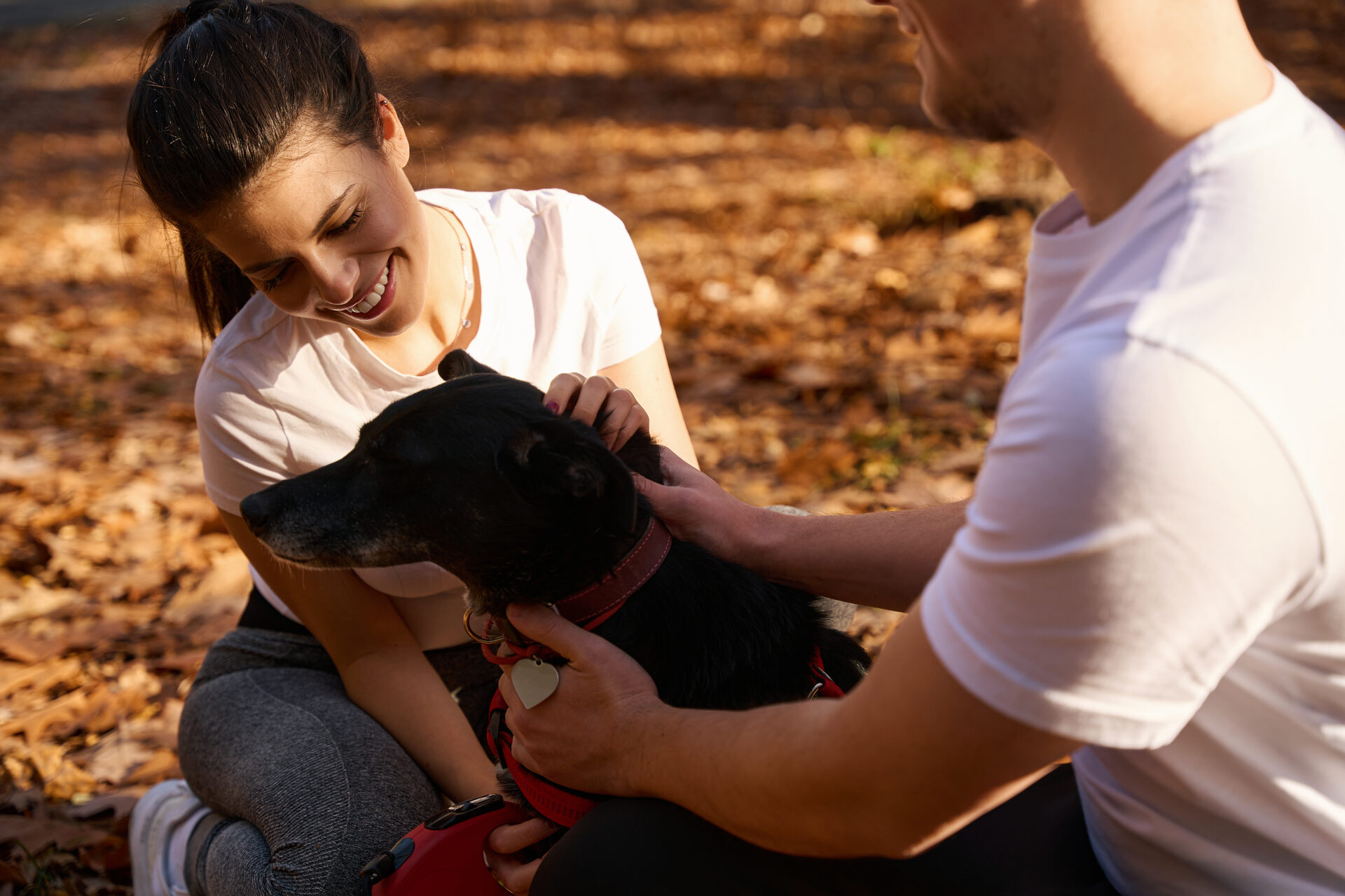 A couple hugging a dog outdoors