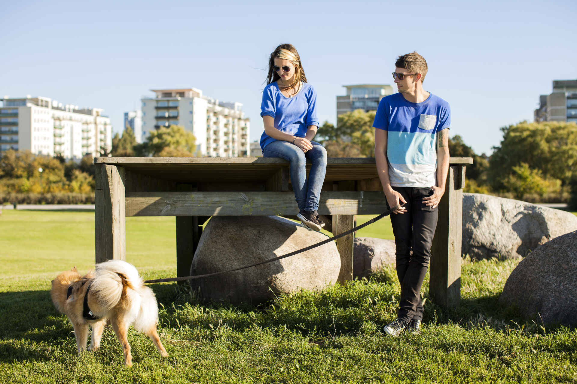 A couple walking their dog at a park