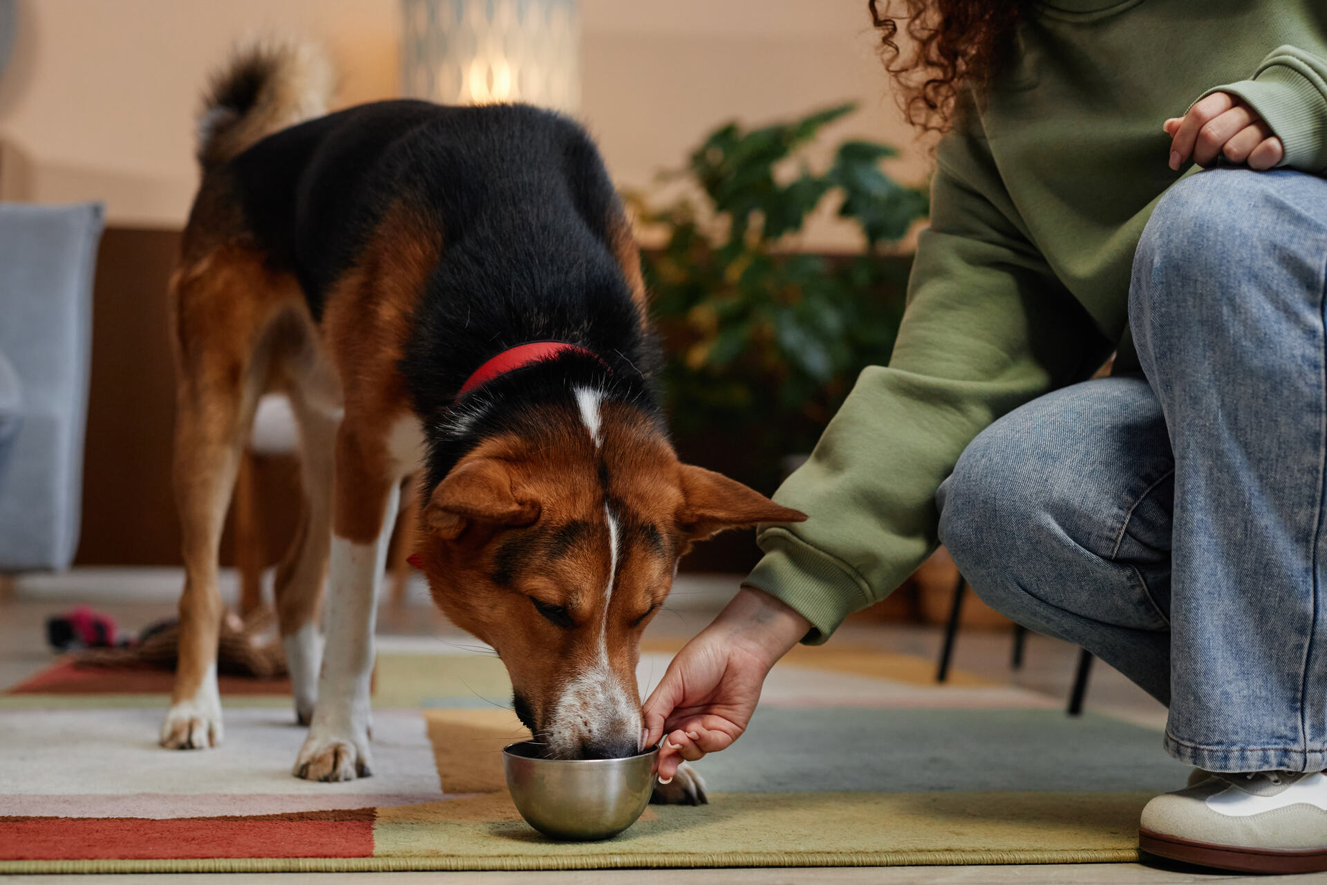 A woman offering water to a dog from a bowl