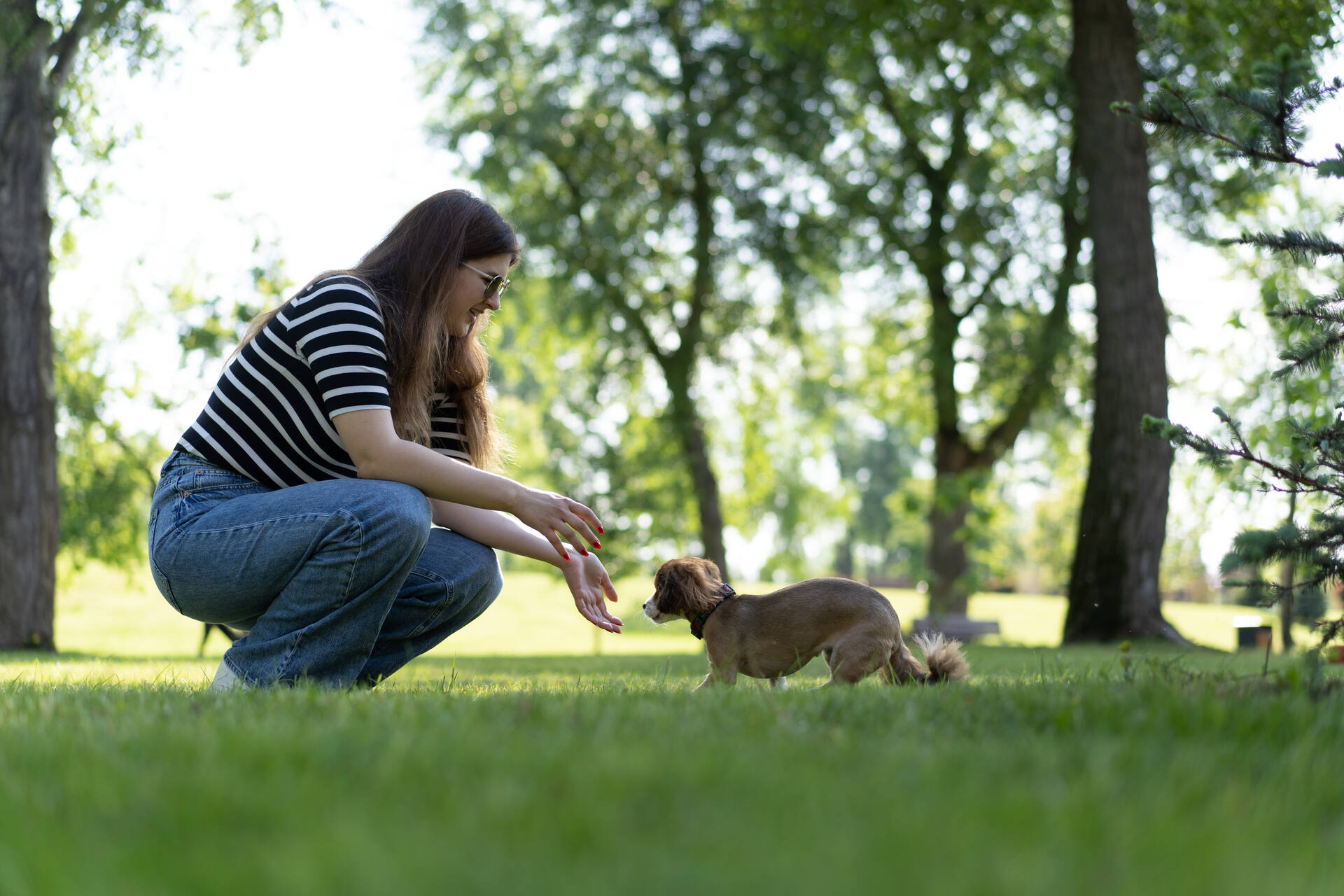 A woman training her puppy to go potty outdoors