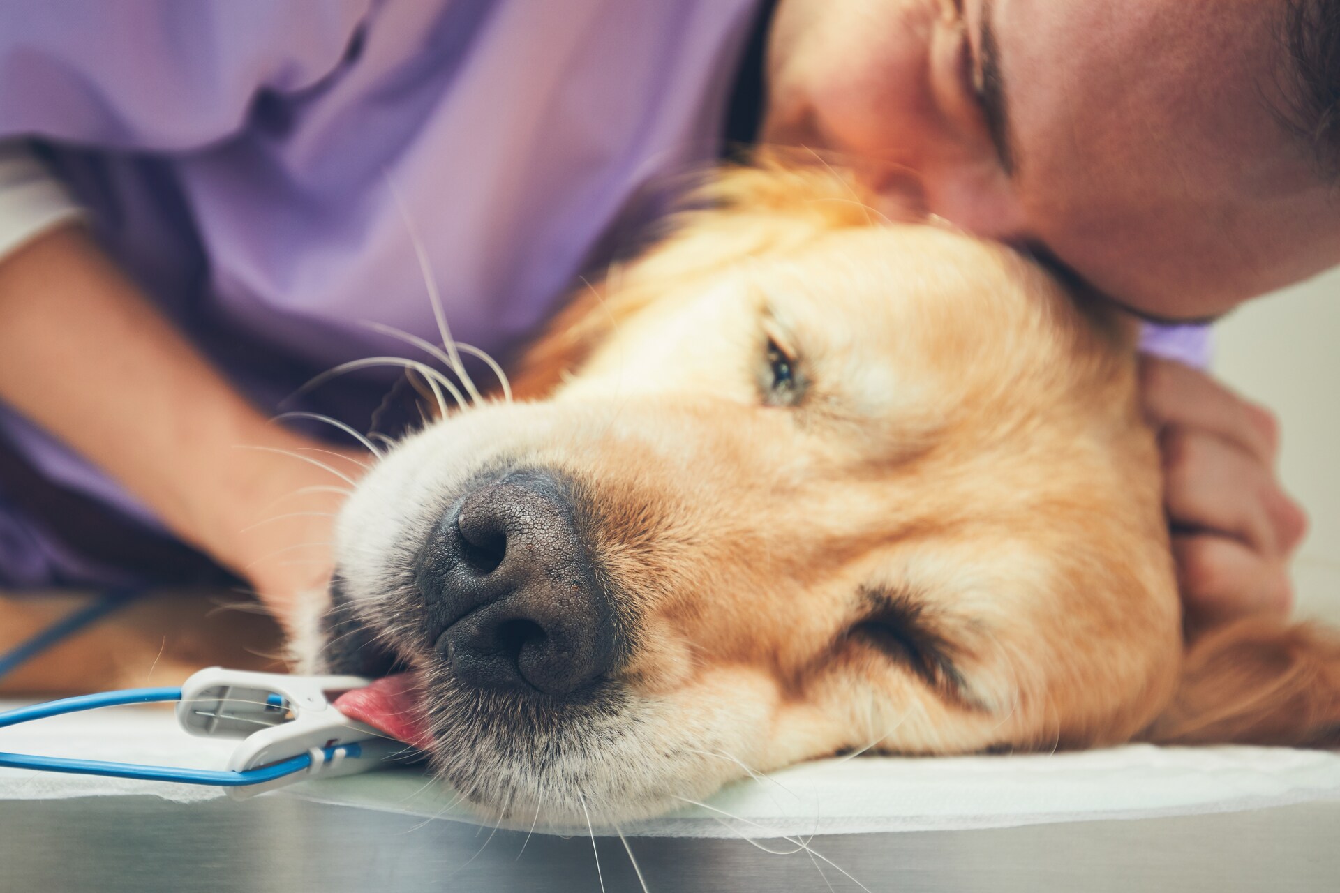 A man hugging a sick dog