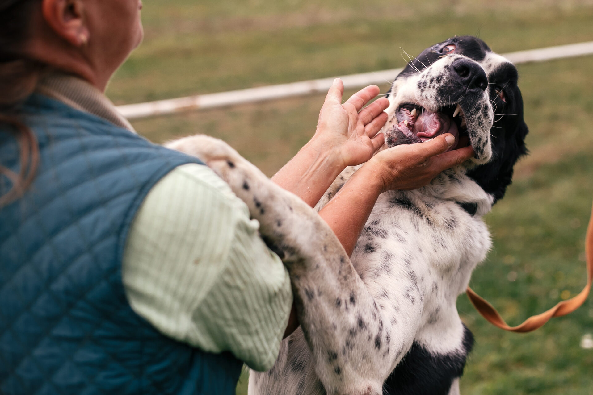 A woman playing with a dog outdoors