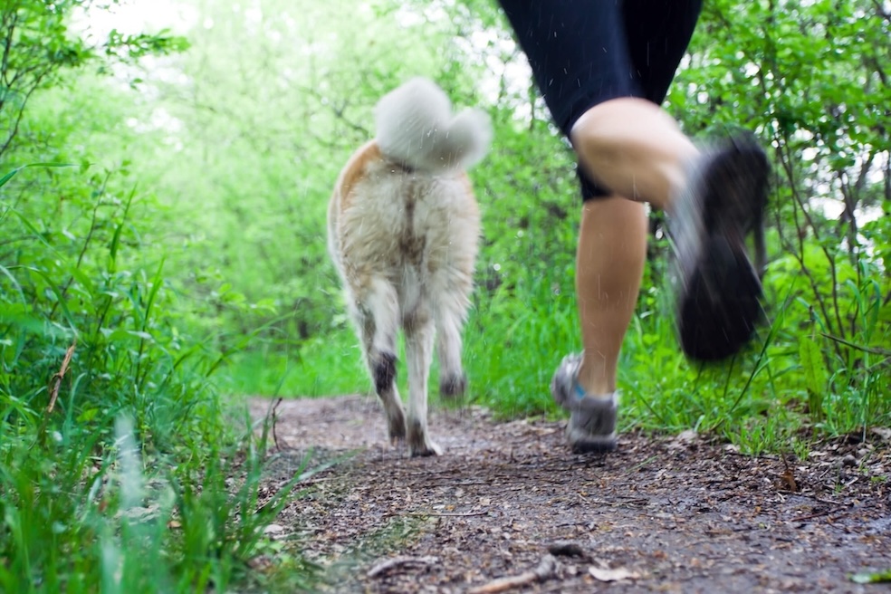 Frau joggt im Wald mit ihrem Hund