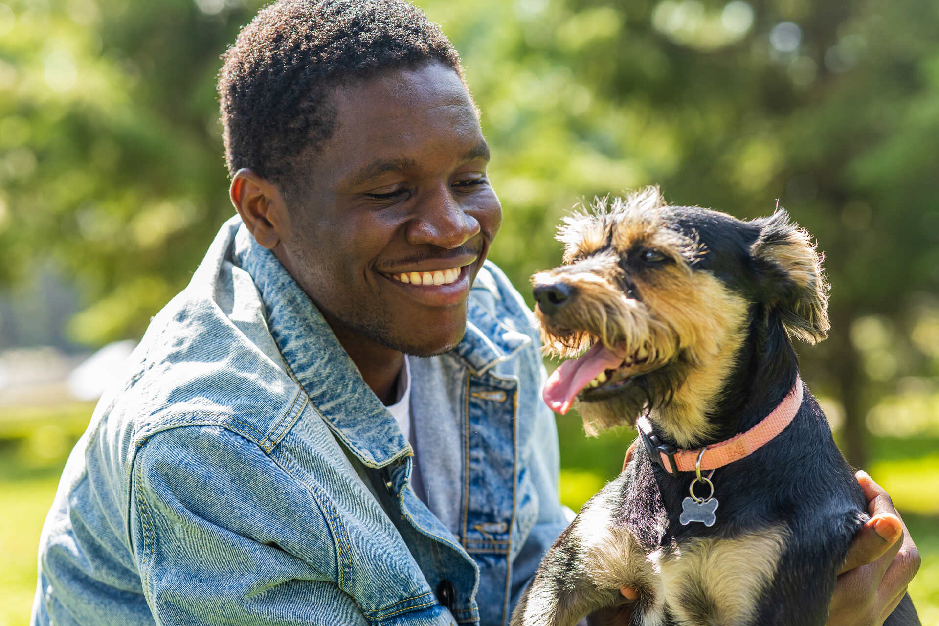 A smiling man training his dog outdoors