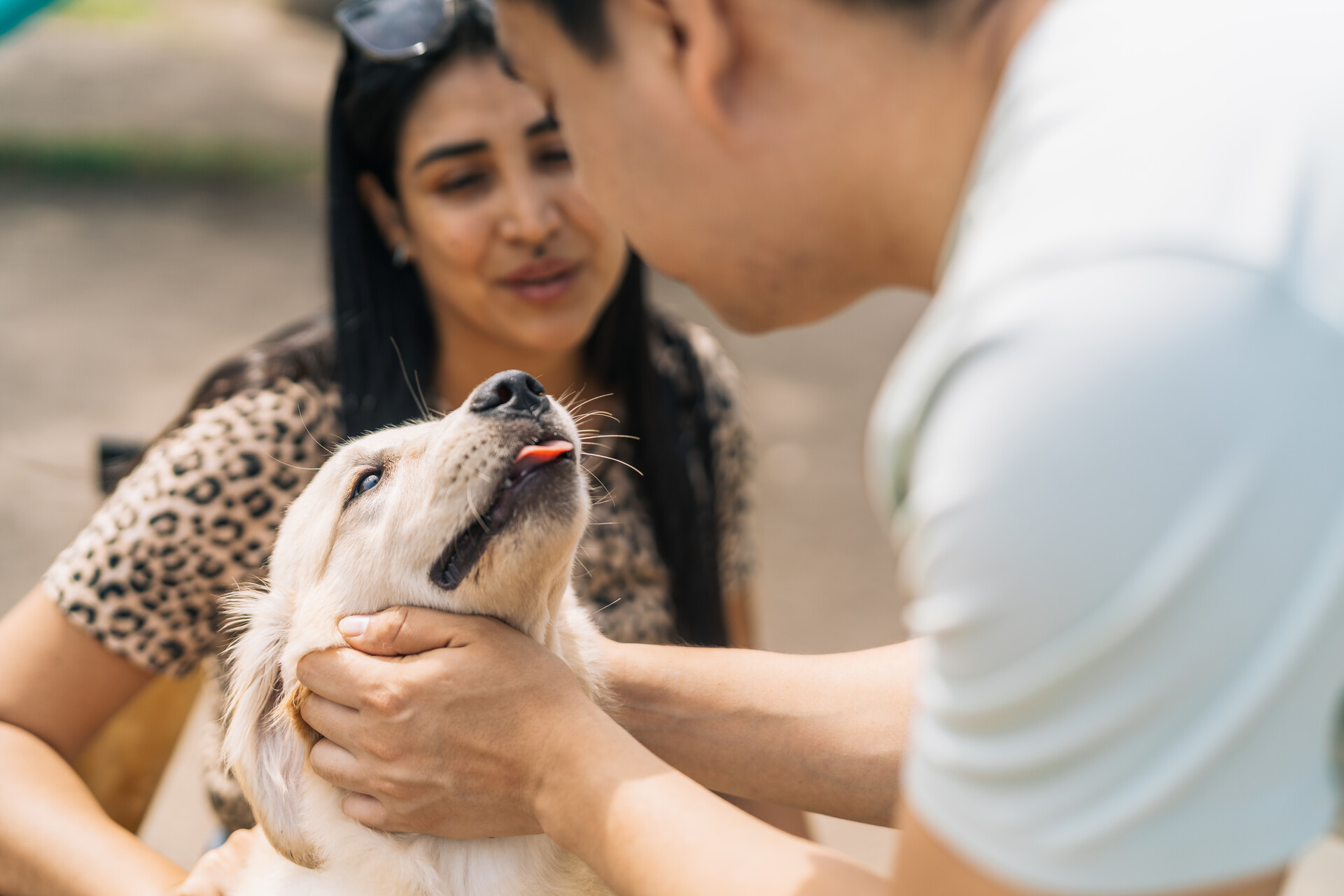 A couple adopting a shelter dog