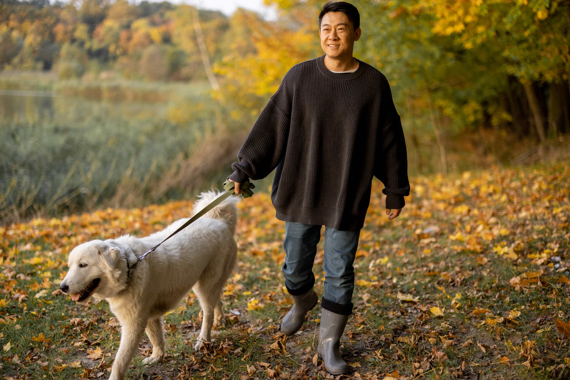 A man walking a dog through a forest