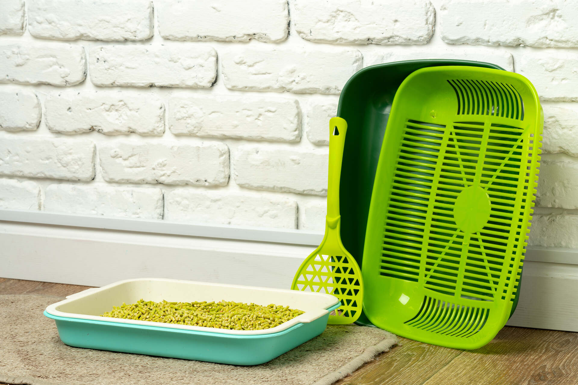 A plastic litter box propped next to a wall