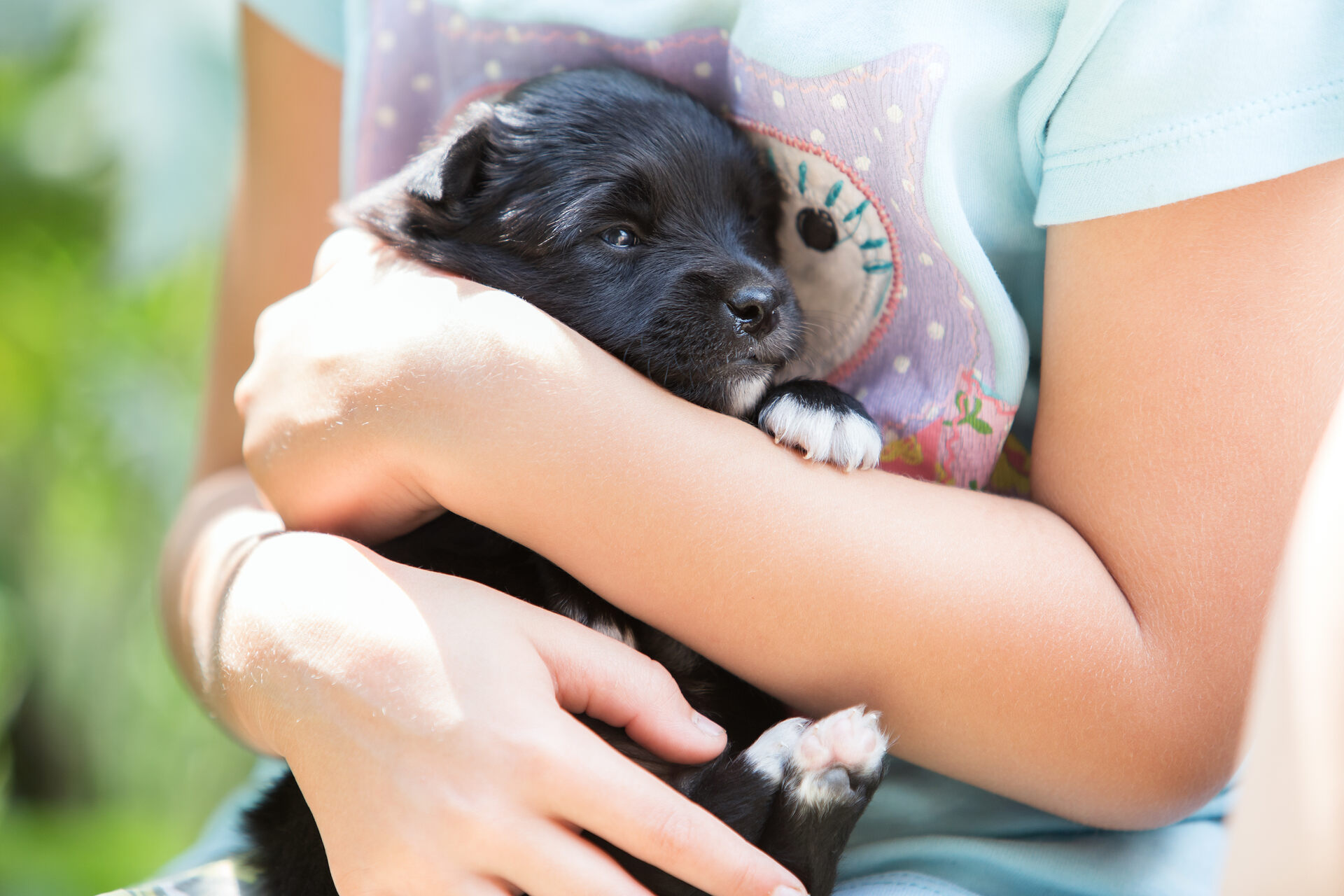 A child hugging a black puppy