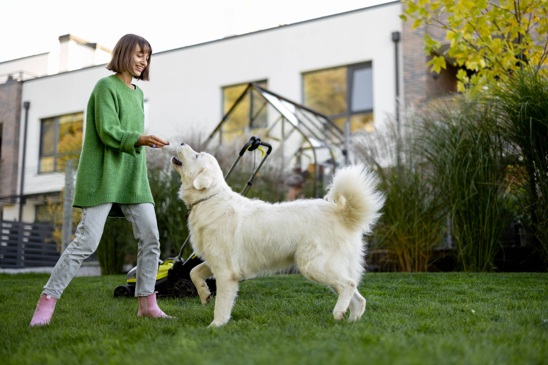 A woman giving her dog a treat for coming when called