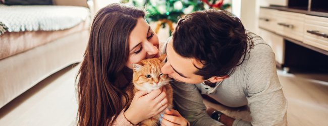 A couple welcoming their newly adopted cat home