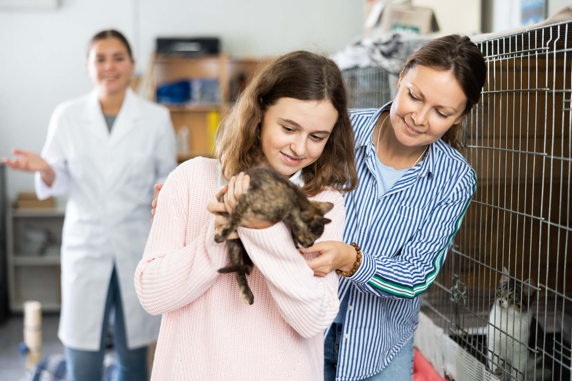 A family adopting a cat from a shelter