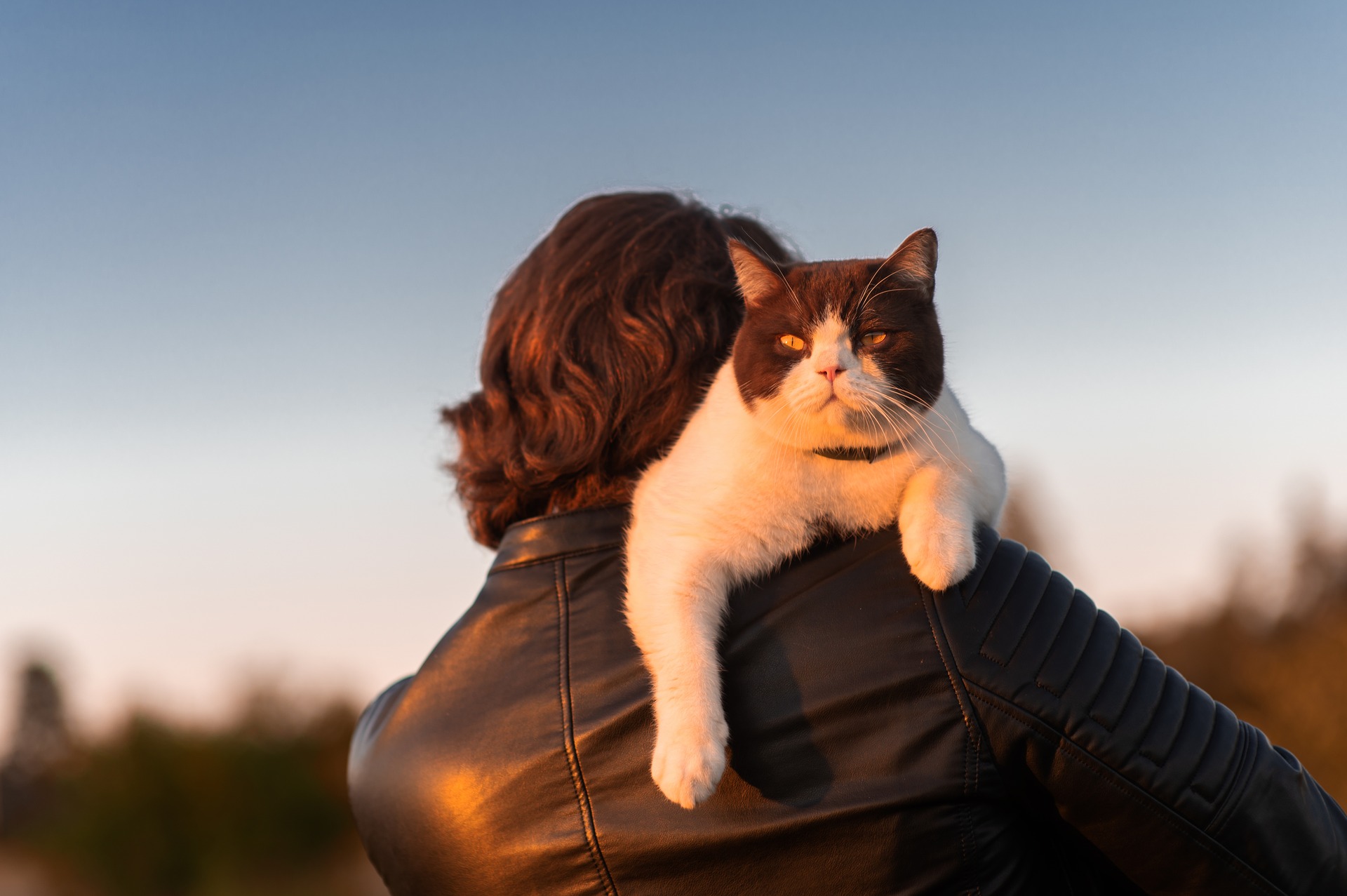 A man carrying a cat home 