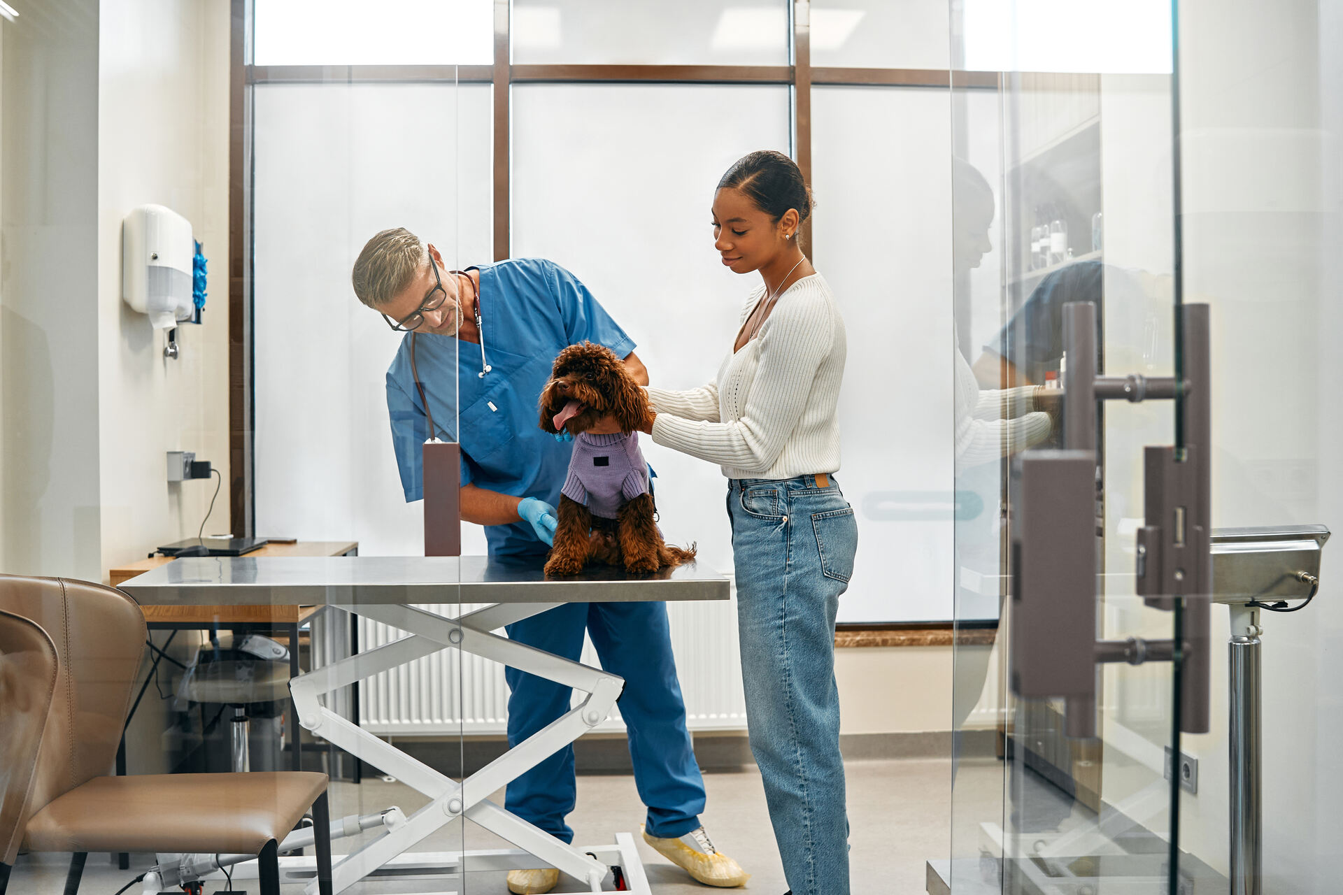 A vet examining a dog at a clinic