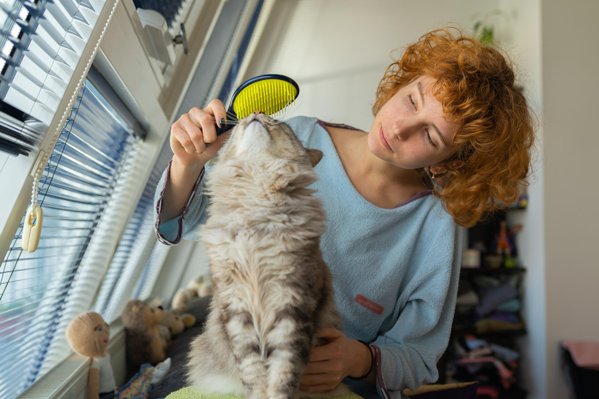 A woman combing through her cat's fur with a brush