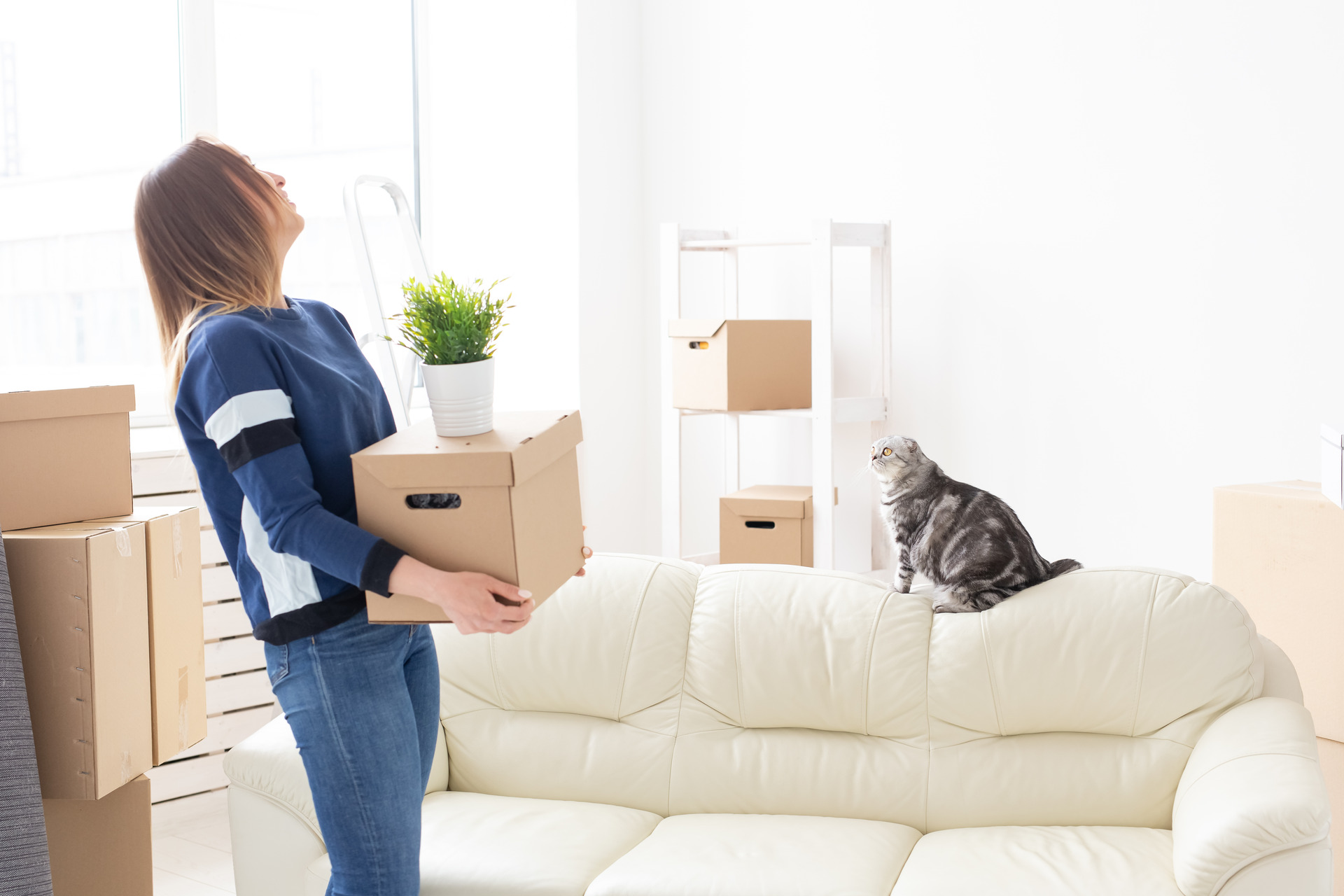 A woman shifting to a new apartment with her cat