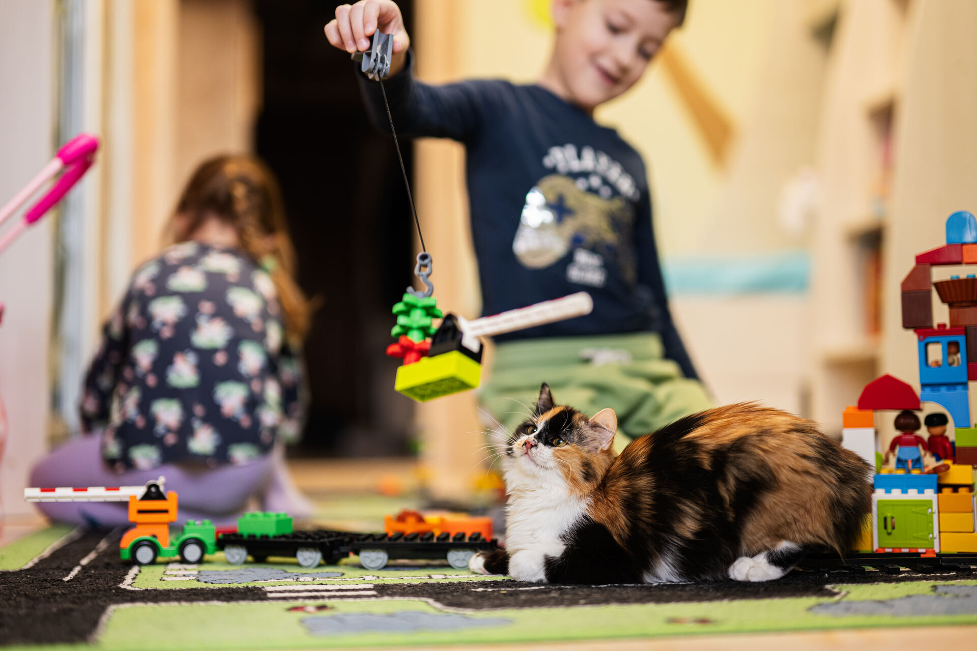 A pair of kids playing with a cat