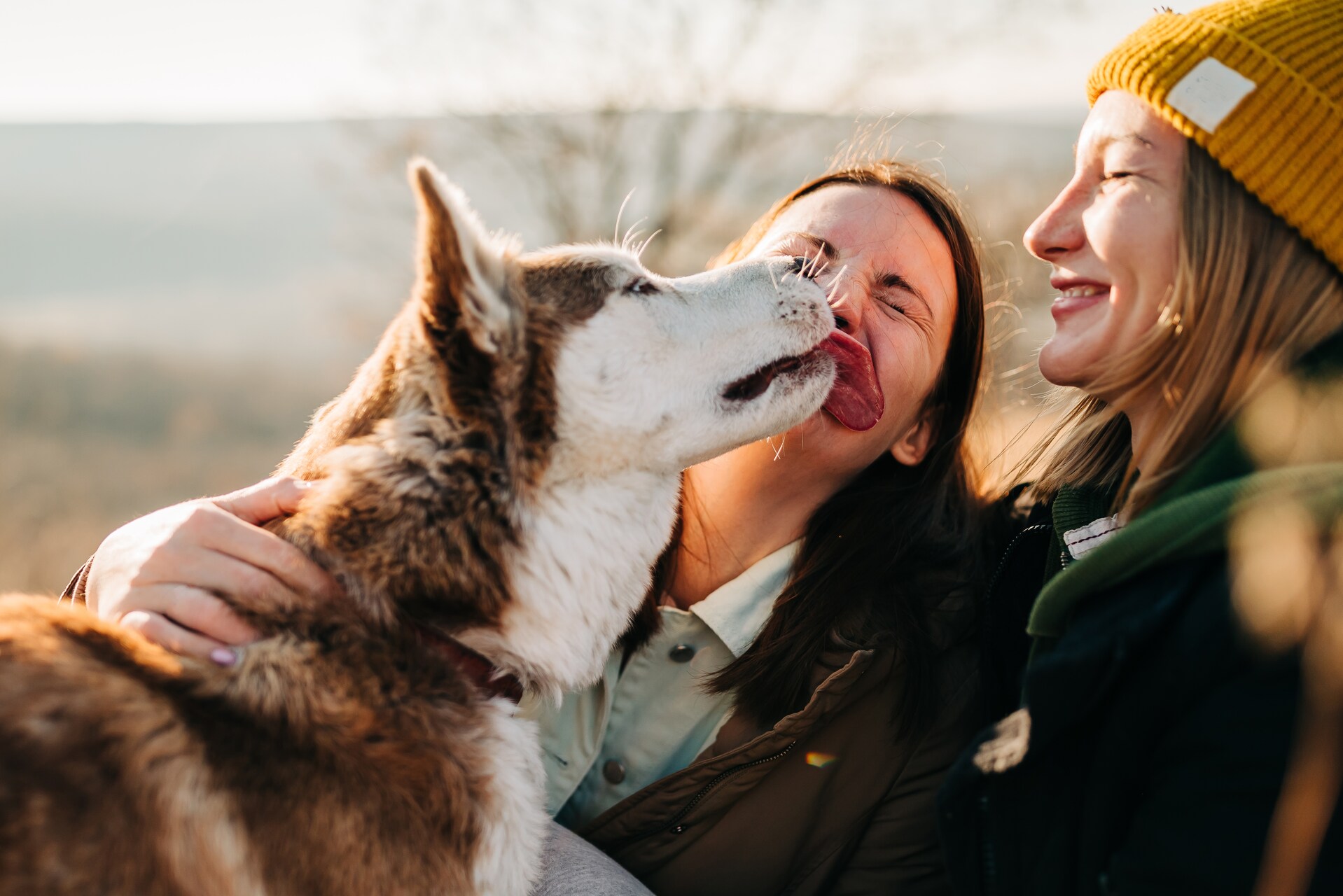 A pair of women walking a Malamute outdoors