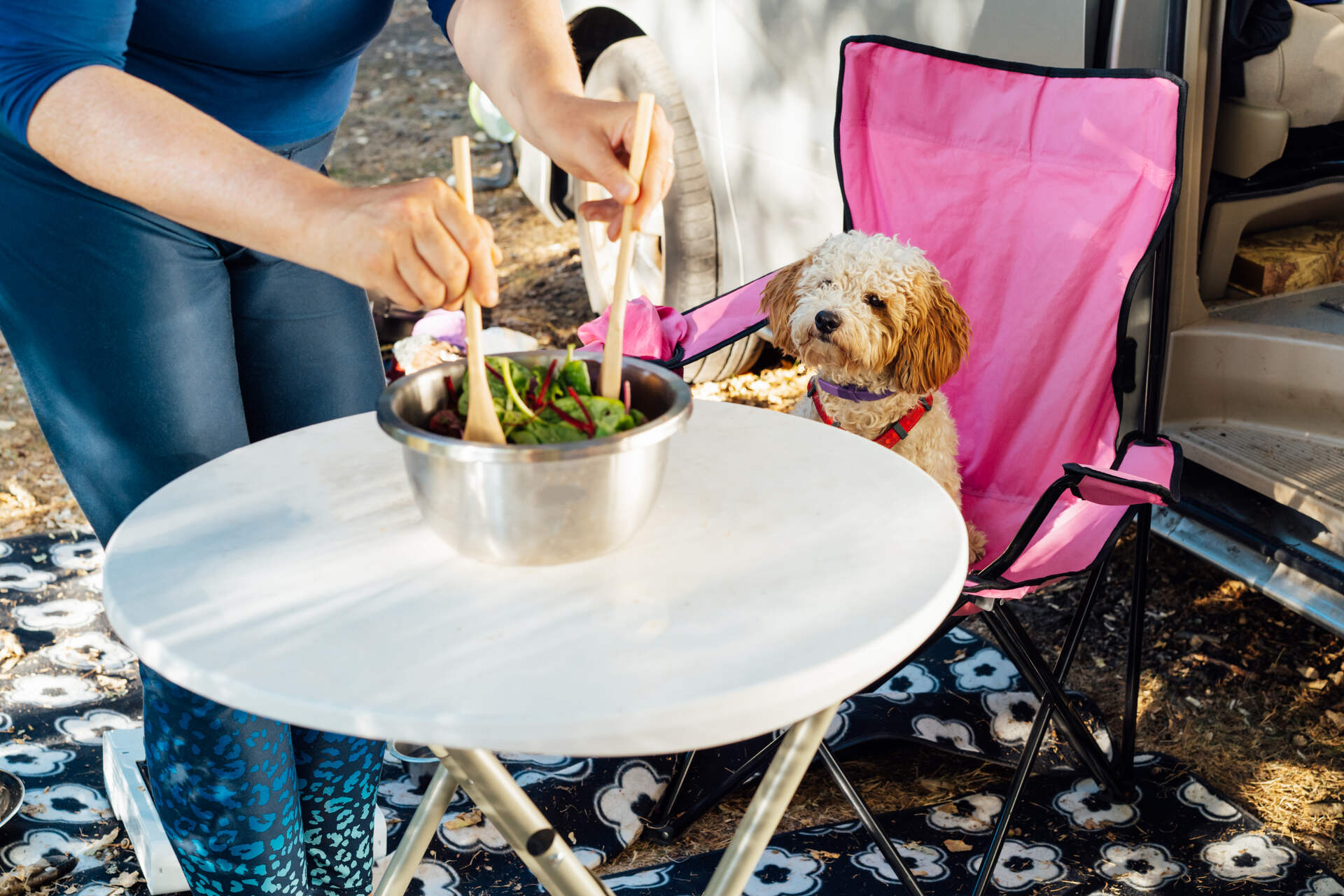 A woman preparing a salad at a camp while her dog watches